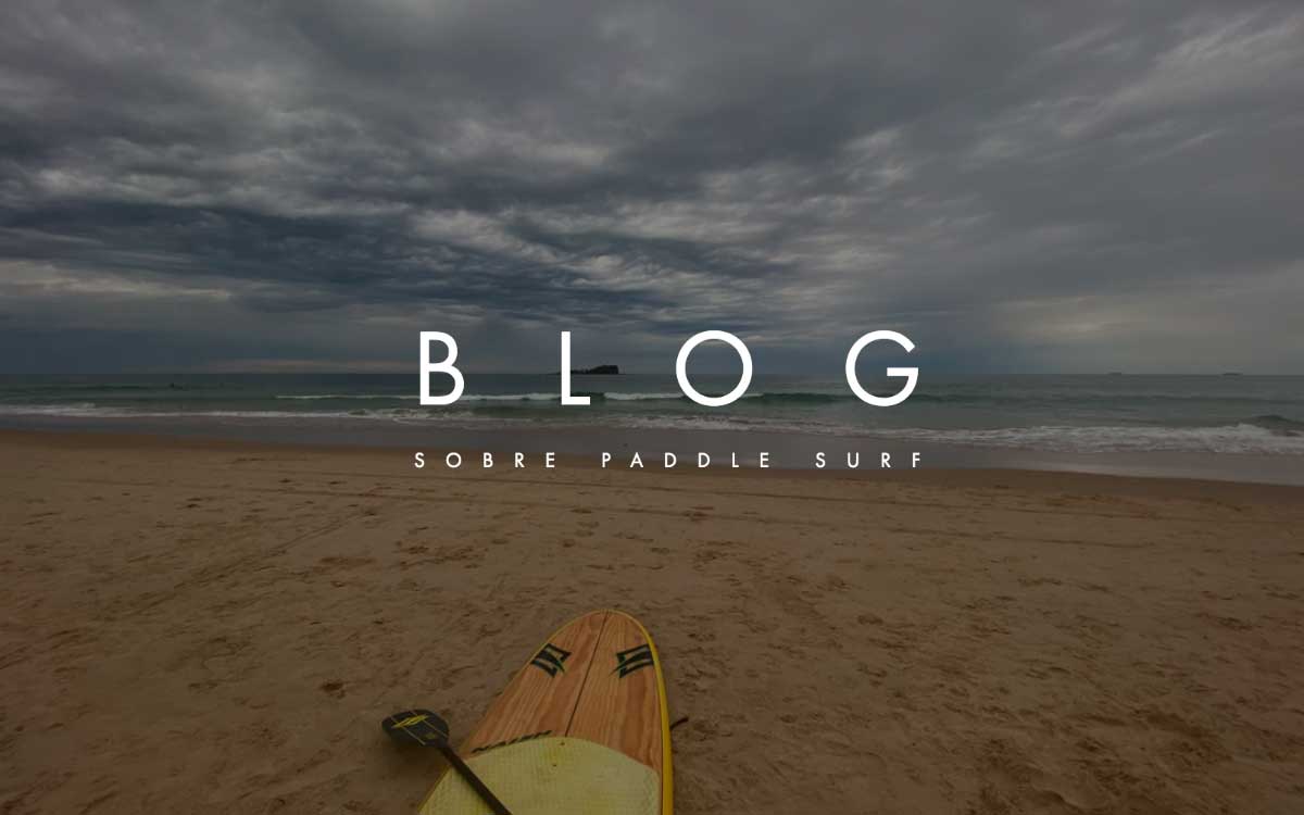 Blog Paddle Surf